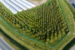 DJI_20231108124058_0009_D-Sredni