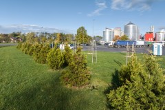 DJI_20231108125157_0029_D-Sredni