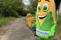 Bioagra-krolowe-na-terenie-Bioagry_03
