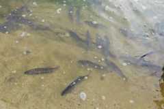 IMG-20230322-WA0003