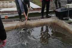 IMG-20230322-WA0004