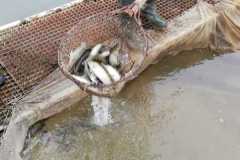 IMG-20230322-WA0005