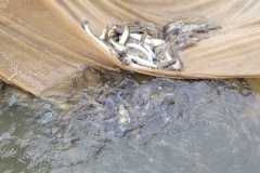 IMG-20230322-WA0007