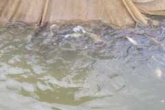 IMG-20230322-WA0009
